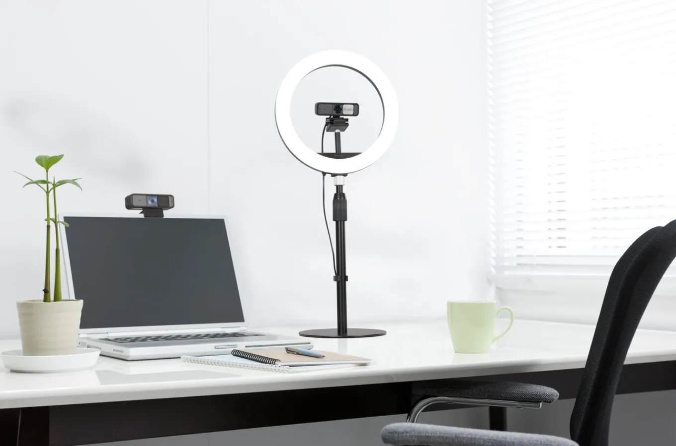 Kensington L1000 Bicolor Ring Light with Webcam Mount Discount